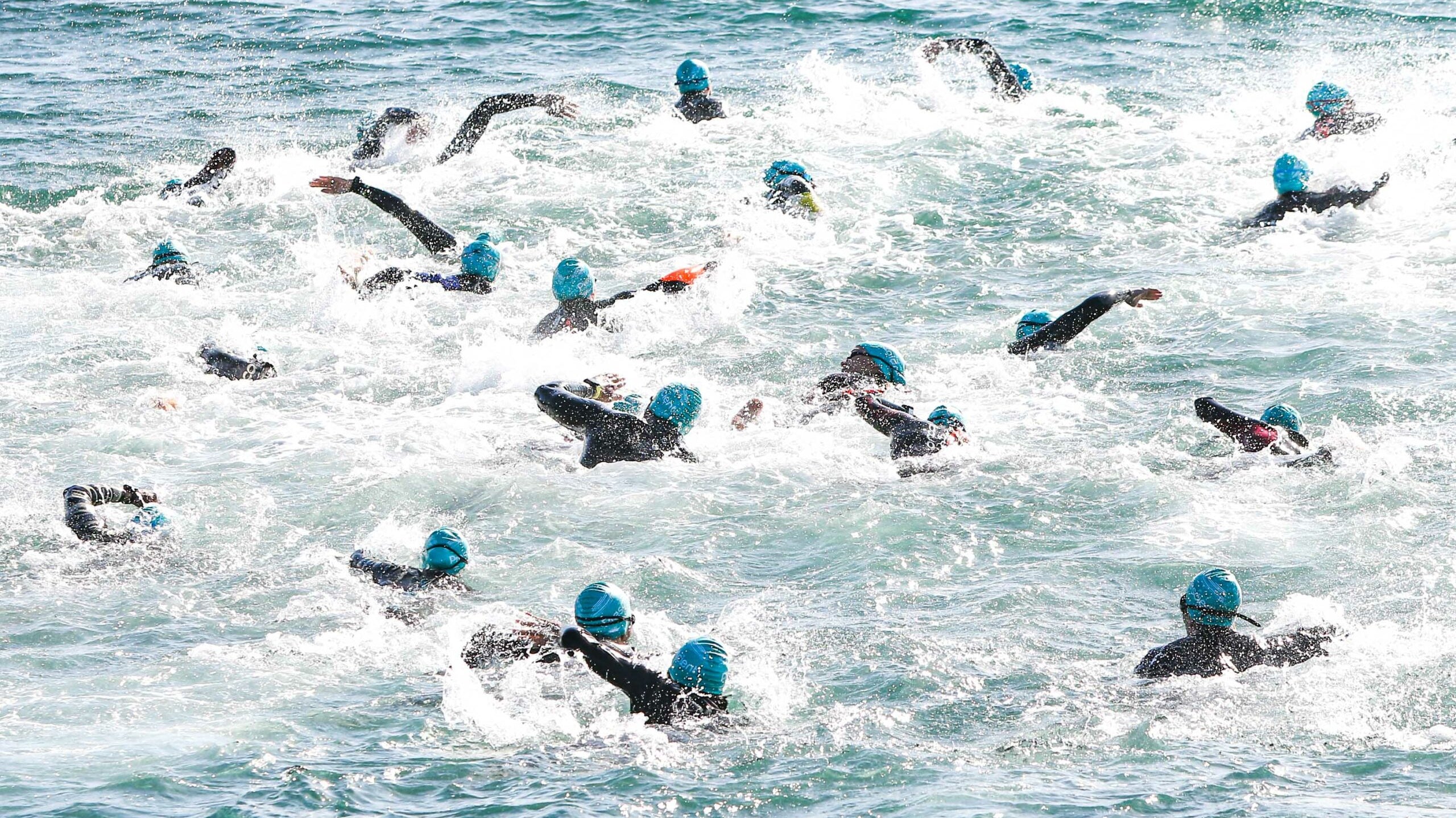 Long distance swimmers in the ocean