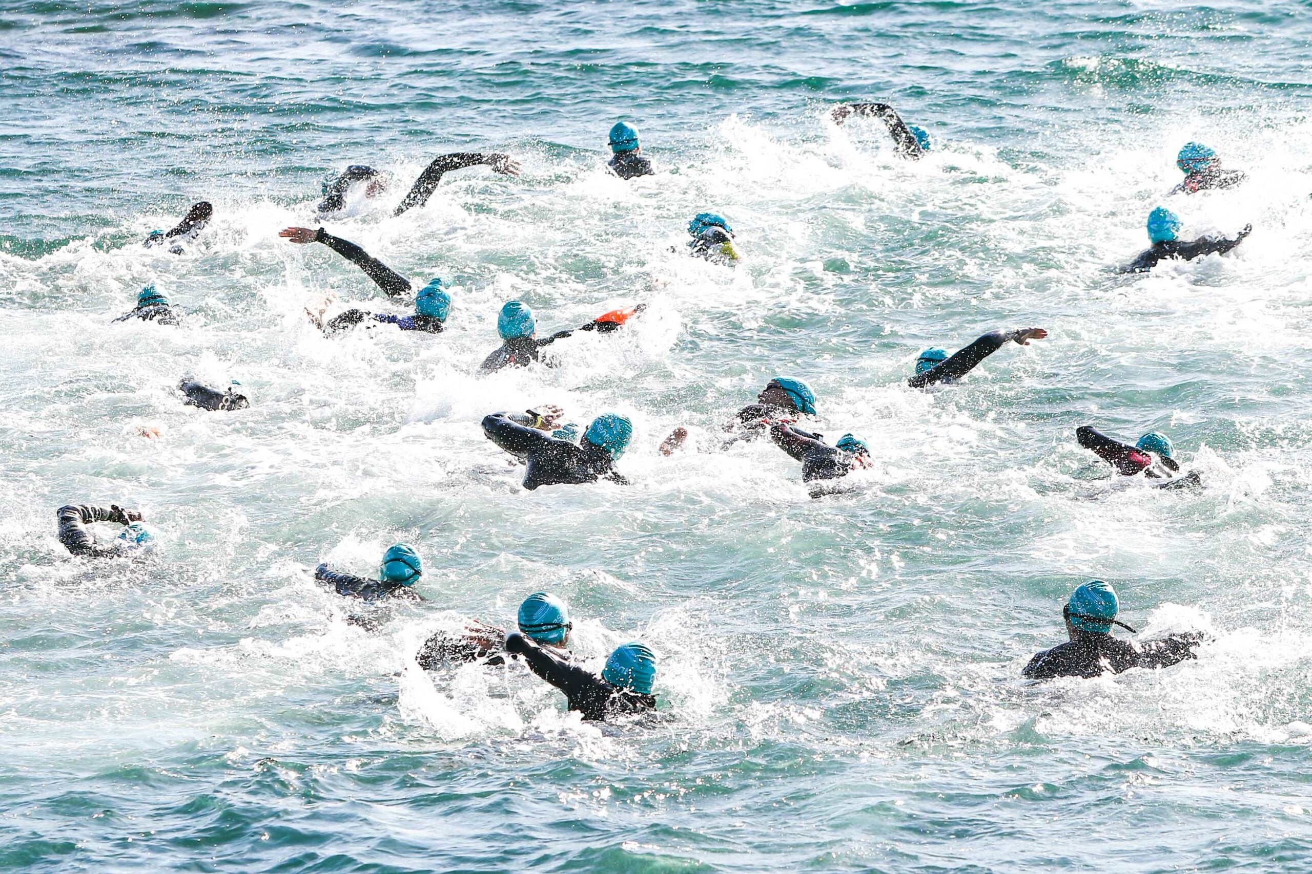 Long distance swimmers in the ocean